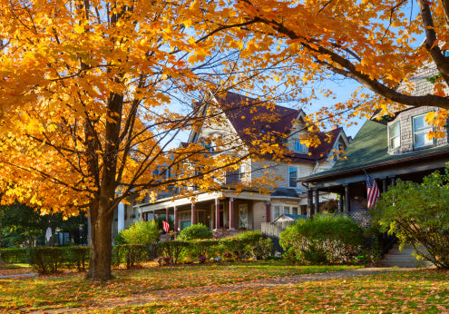 The Dos and Don'ts of Fall Lawn Care