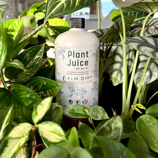 Plant Juice