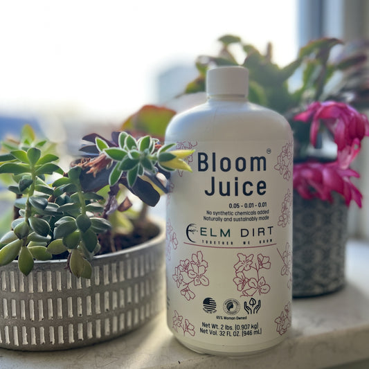 Bloom Juice