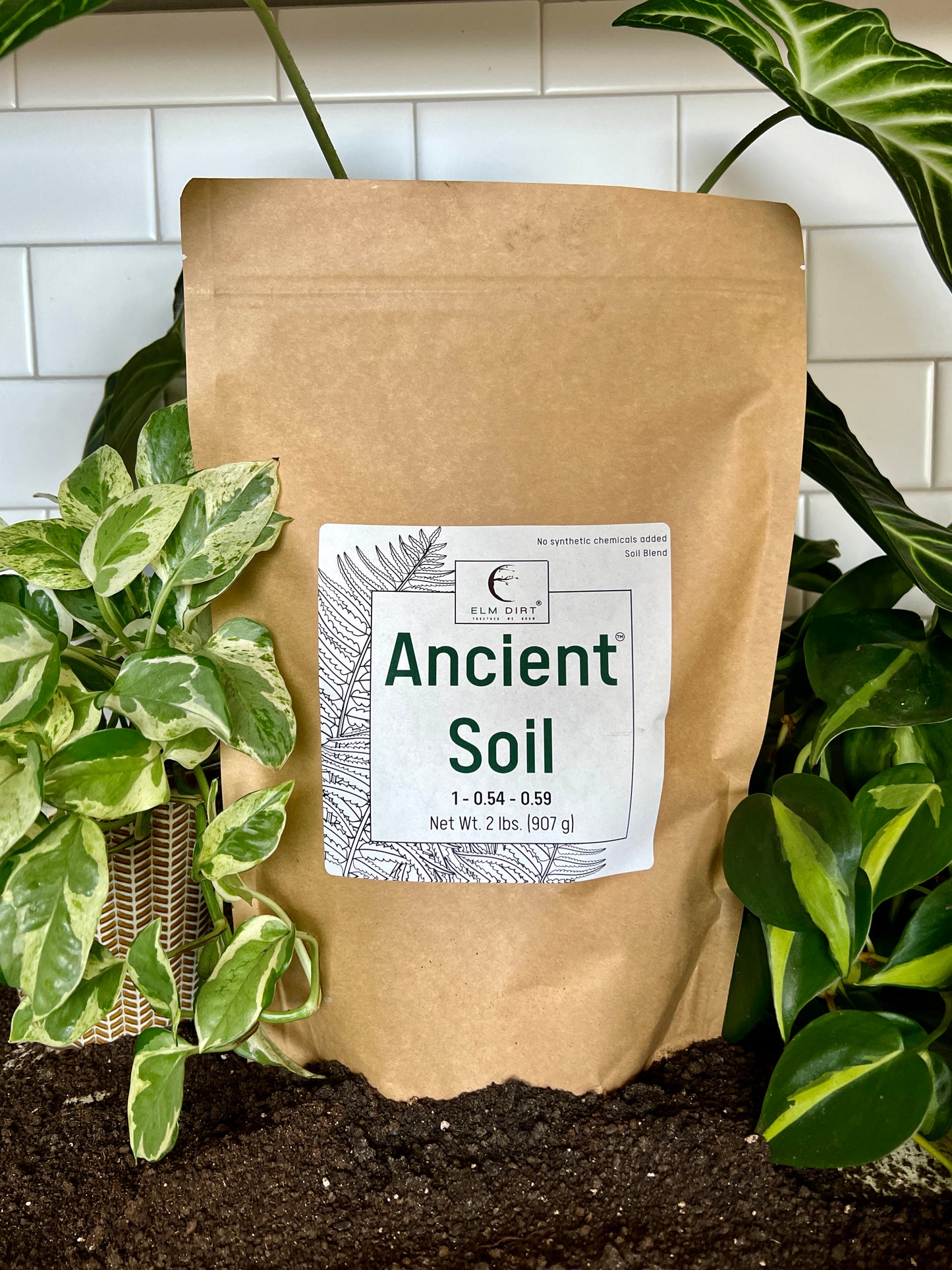 Ancient Soil