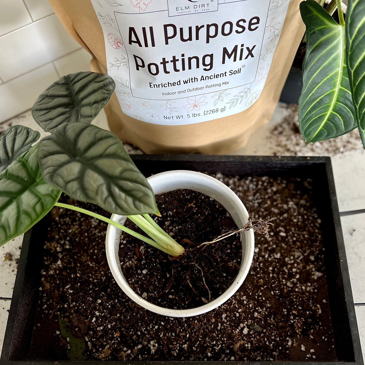 All-Purpose Soil Mix