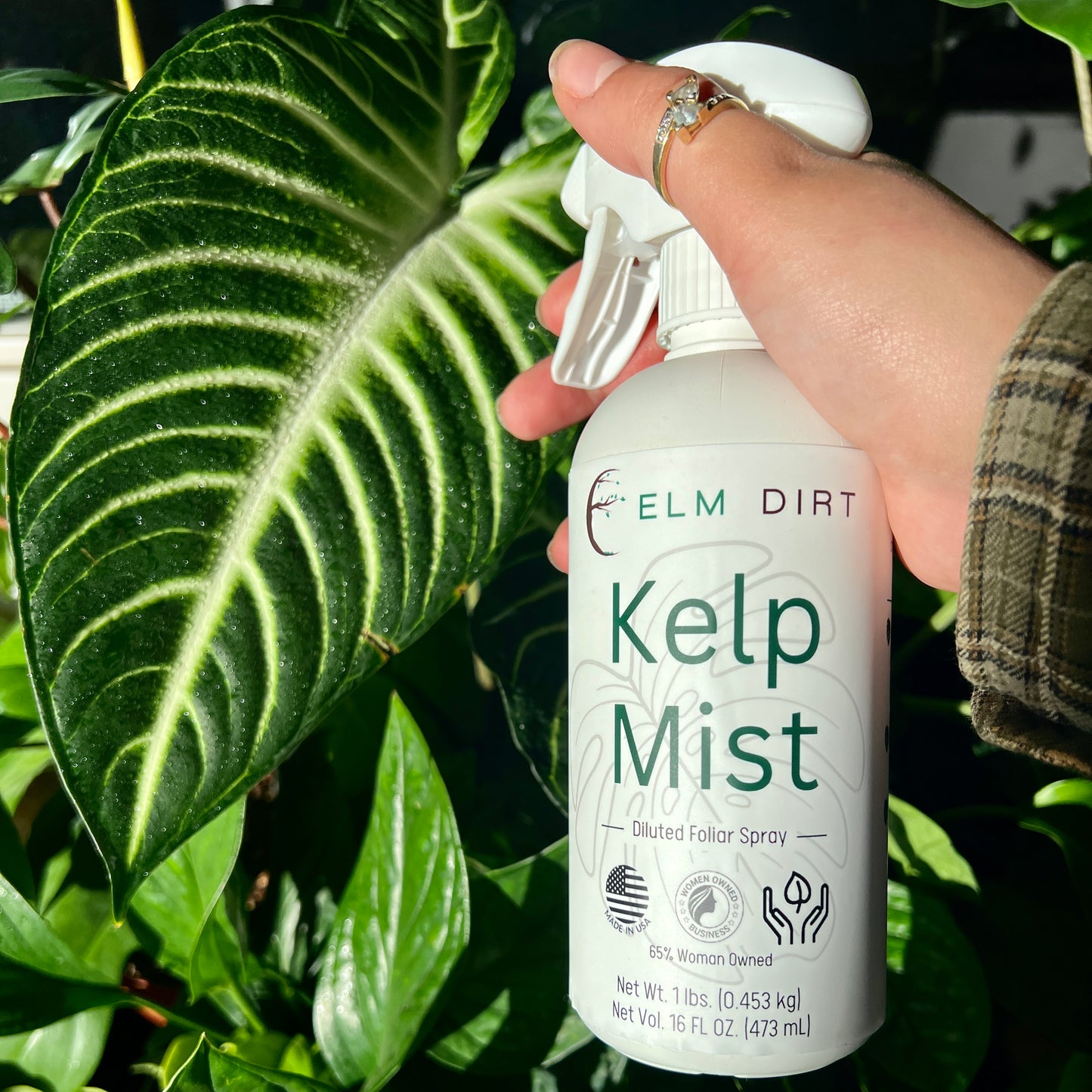 Kelp Mist