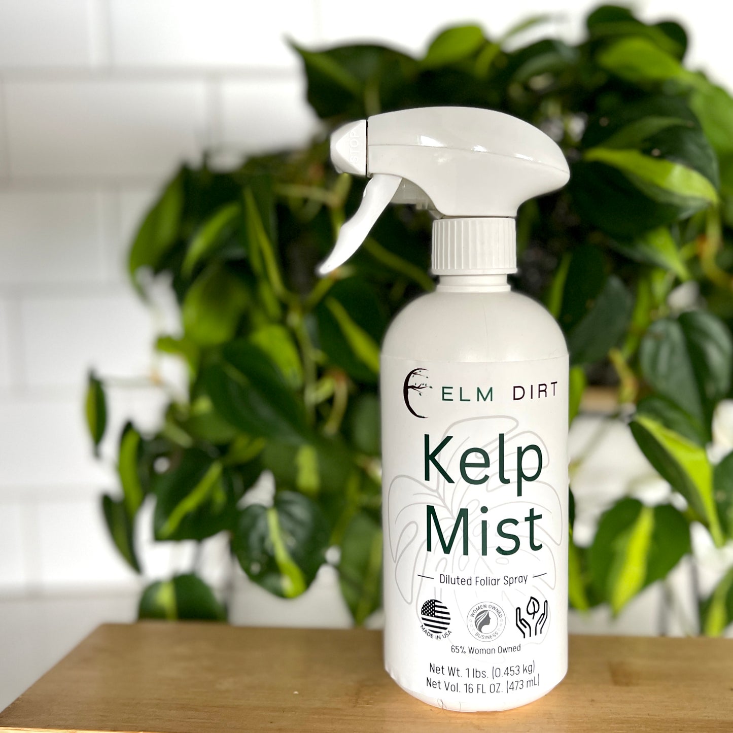 Kelp Mist